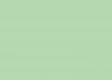RAL 6019